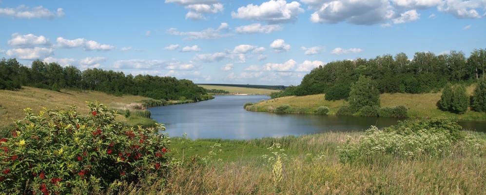 Шагаровка белгородская область карта