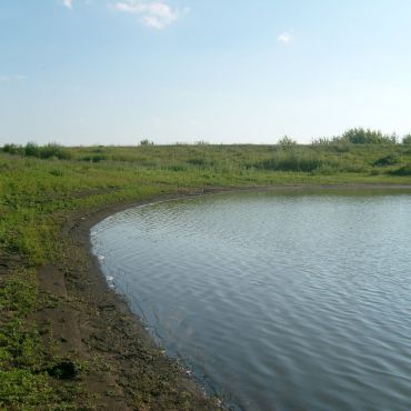 Богородское