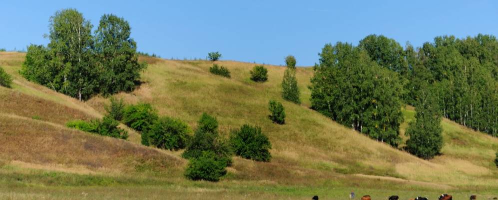 
            Фотография Лузино