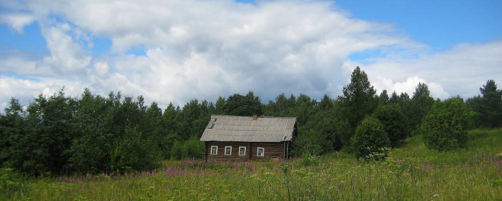 
            Фотография Ерши