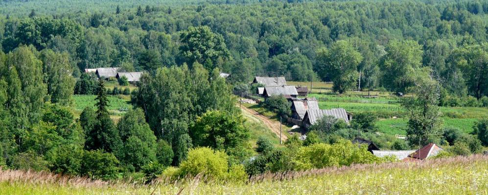 
            Фотография Сарапулки