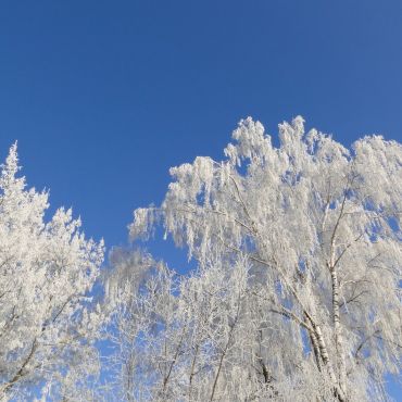 Муратова Первая