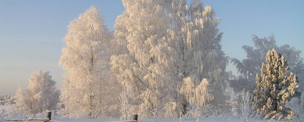 
            Фотография Бабинской