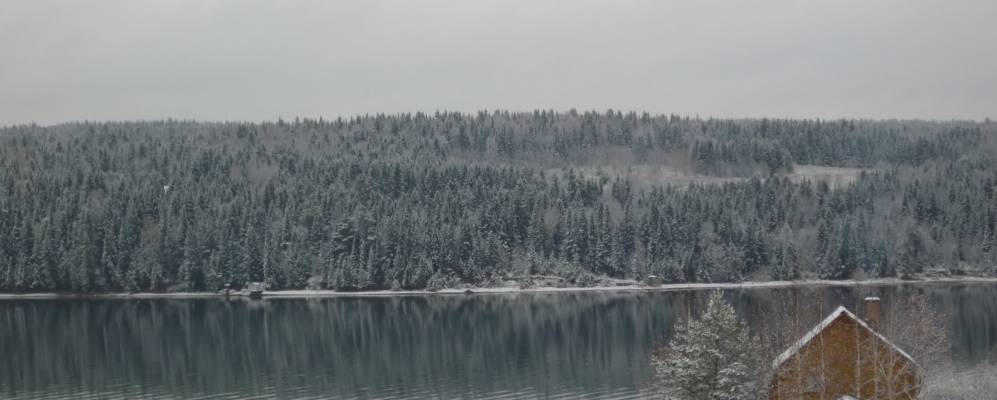 
            Фотография Кутамыша