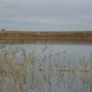 Аршань Зельмень