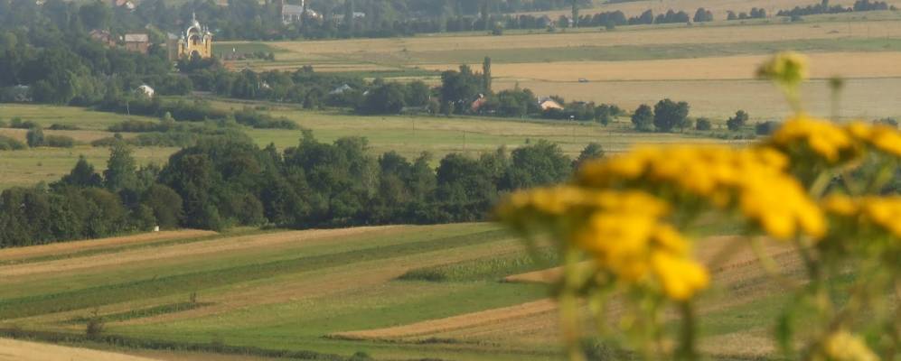 
            Фотография Владиполя