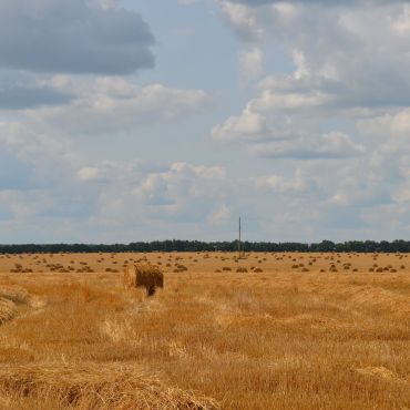 Ярмаки