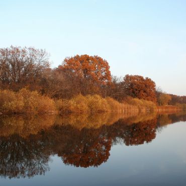 Беленка