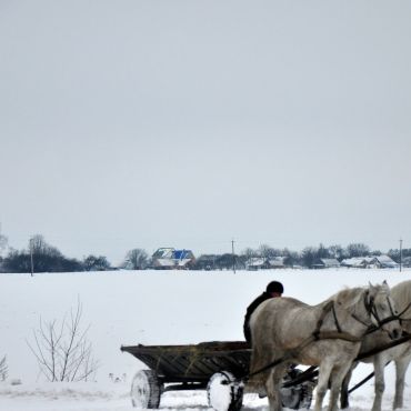 Забара