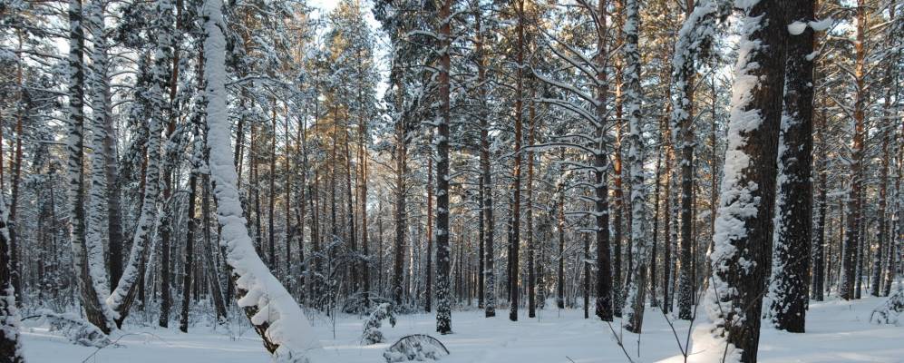 
            Фотография Прогресса