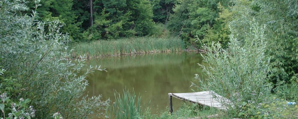 Погода переволочное калачеевский. Воронежская область село Серяково. Серяково Калачеевский район Воронежская область. Село Серяково Калачеевский район. Село рассыпное Воронежской области.