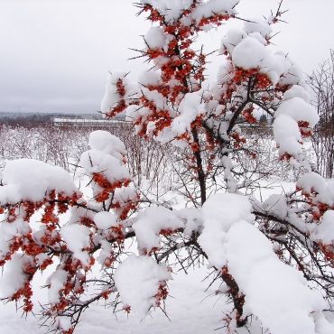 Межозёрное