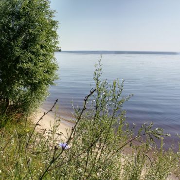 Ясногородка