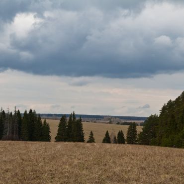 Снегирево