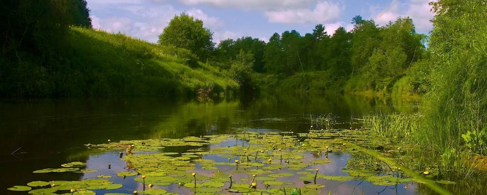 
            Фотография Белой