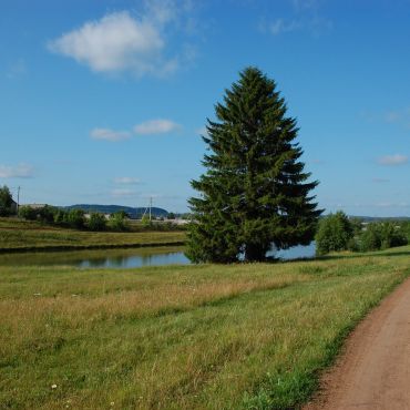 Старая Селища