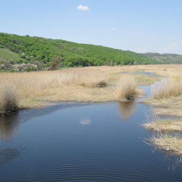 Краснореченское