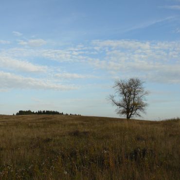 Александрово