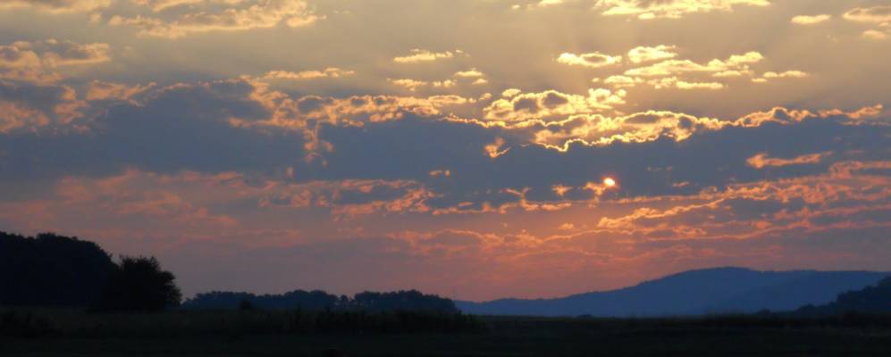 
            Фотография Jovanovac