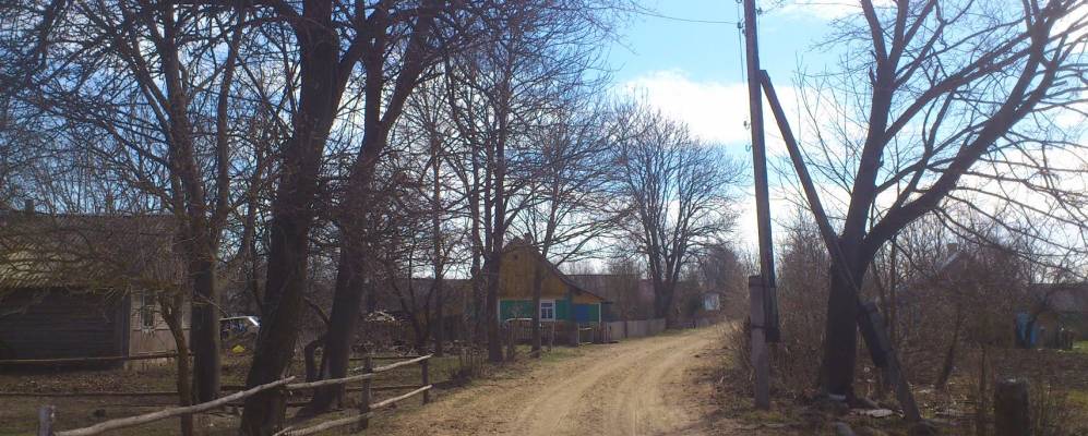 
            Фотография деревни Ченевичи