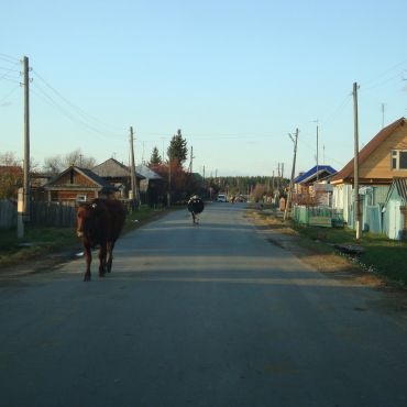 Княжево