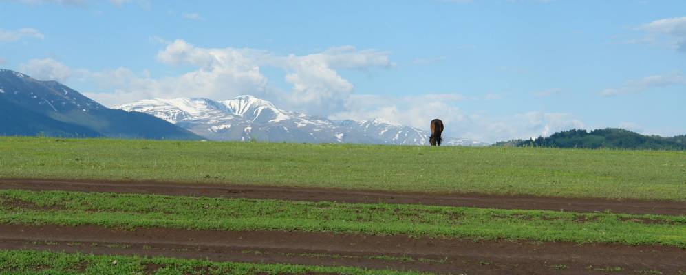 Урыль восточный казахстан фото