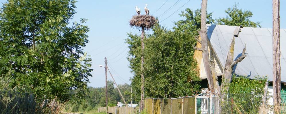 
            Фотография Бородынов