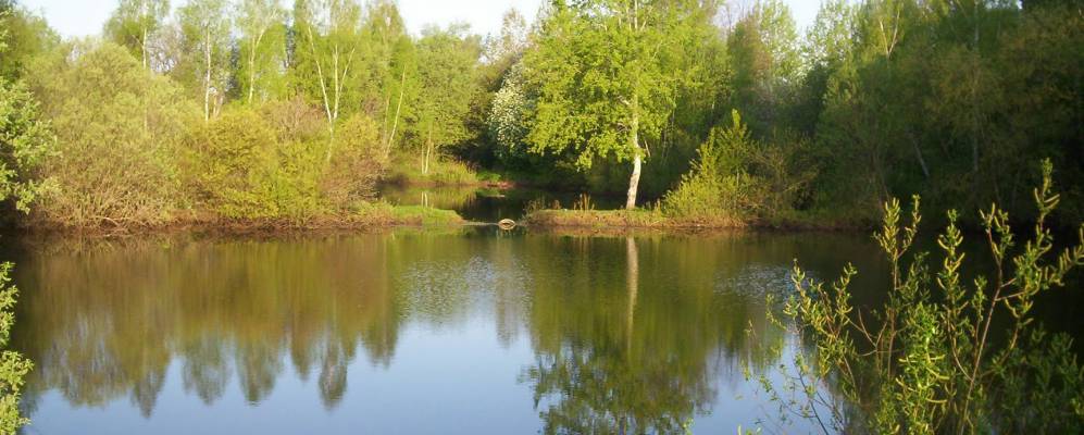 
            Фотография Воробьево