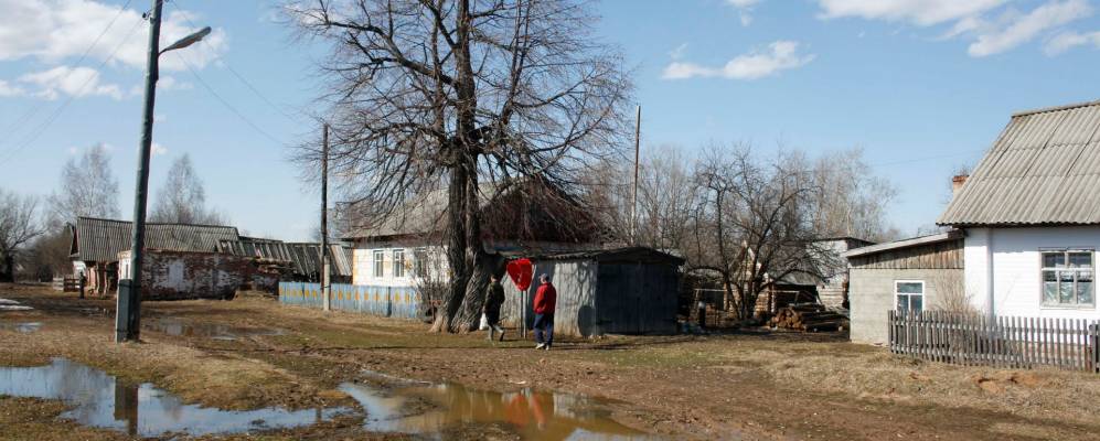 
            Фотография Новой Пижмари