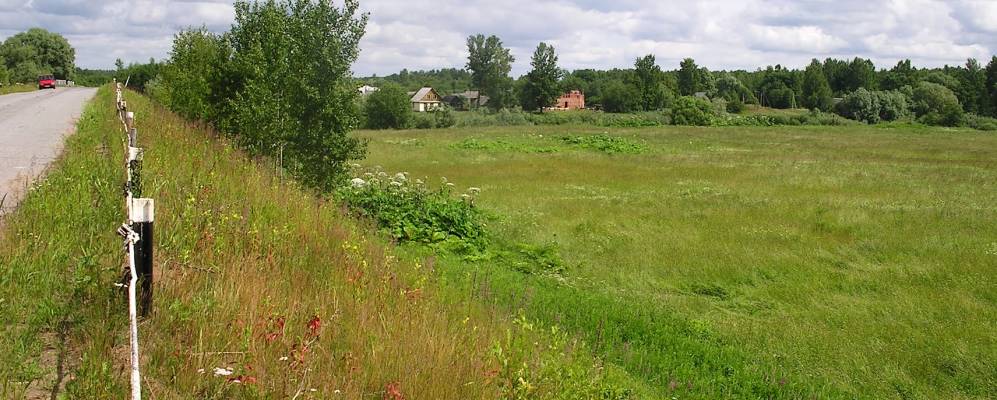 Новая деревня парфинский