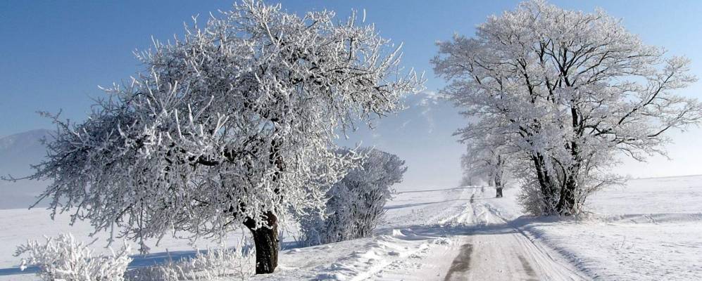 
            Фотография Валентовы