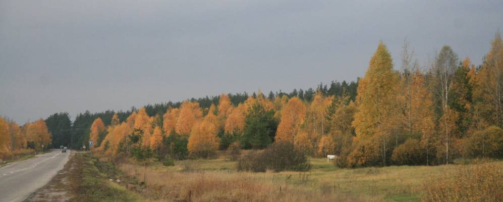 
            Фотография Дубровки