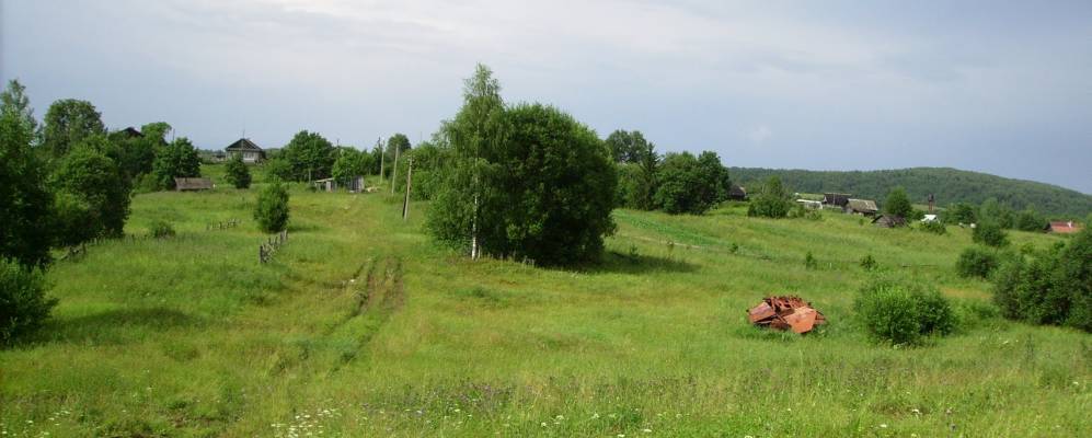 
            Фотография Борбушино