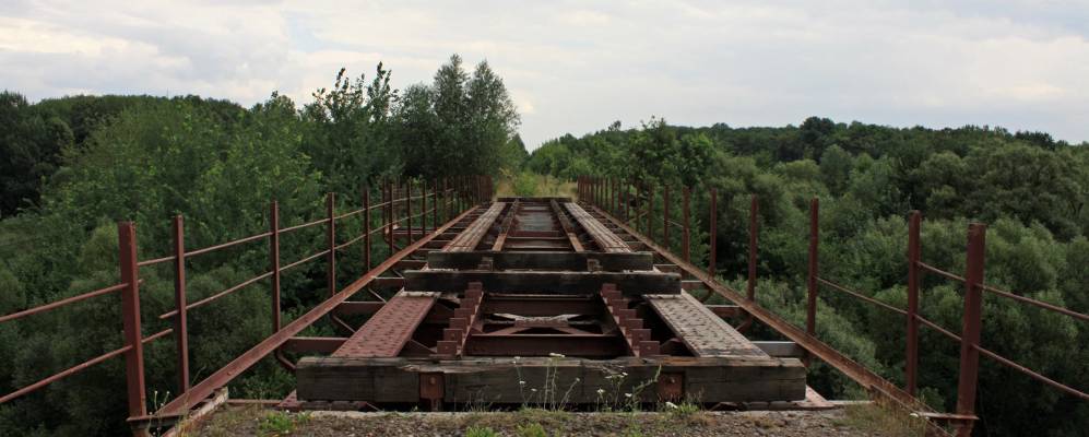 
            Фотография Полевой Лысиевки