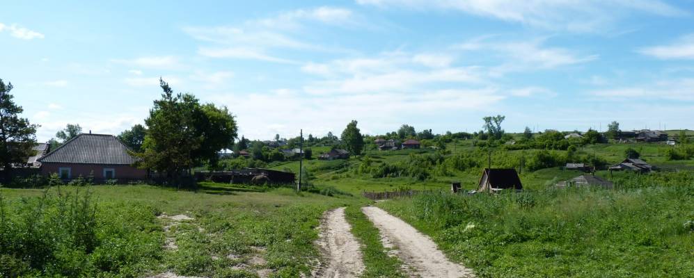 Алтайский край село огни фото