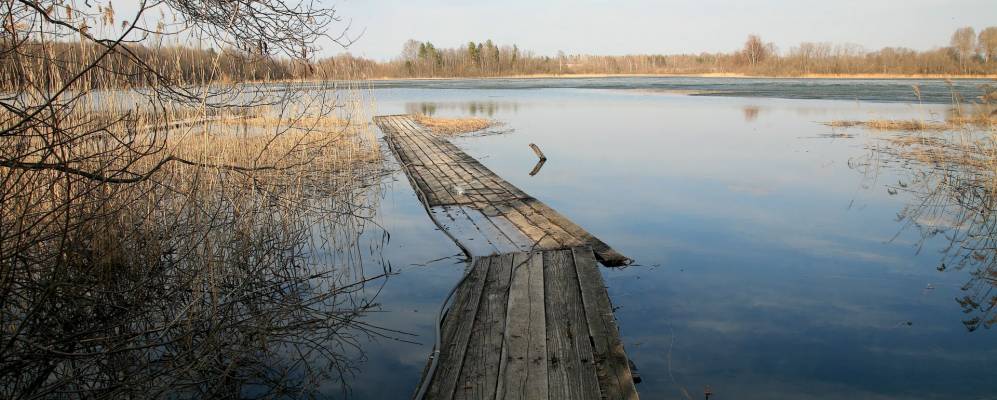 
            Фотография Погорелово