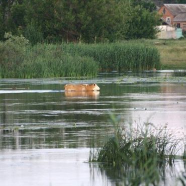 Пристень