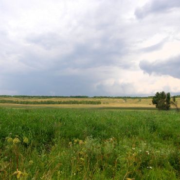 Петровское