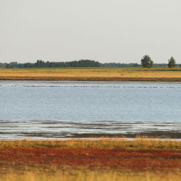 Павловка (Шейндорф)