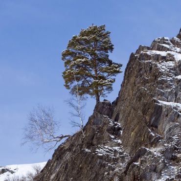 Александровка