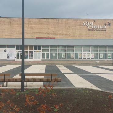 Черноголовка