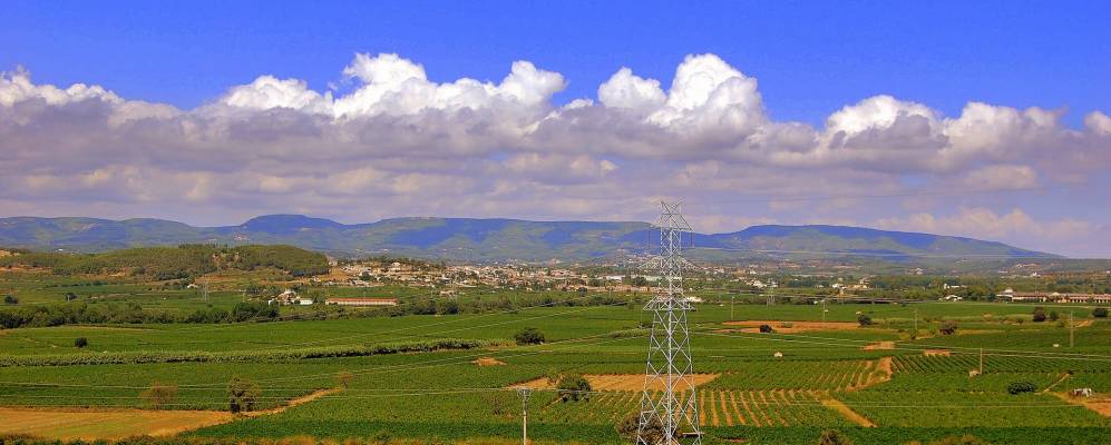 
            Фотография Pacs del Penedes