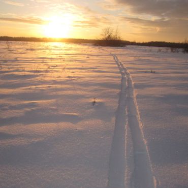 Панеево