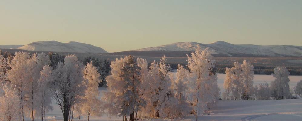 
            Фотография Arvesund