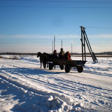 Новые Белокоровичи