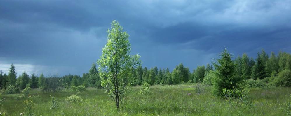 
            Фотография Тучево