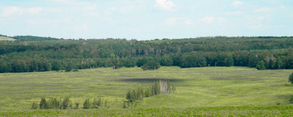 
            Фотография Старой Боголюбовки