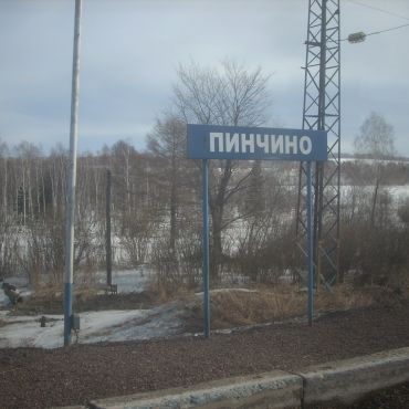 Пинчино