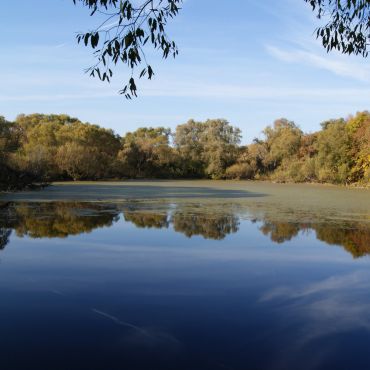 Руднево