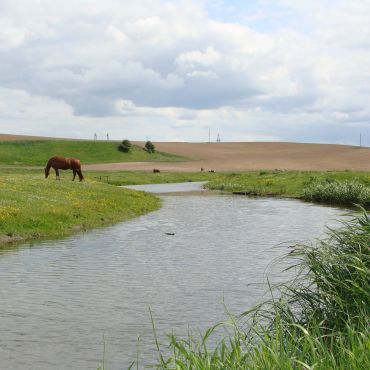 Старожуков